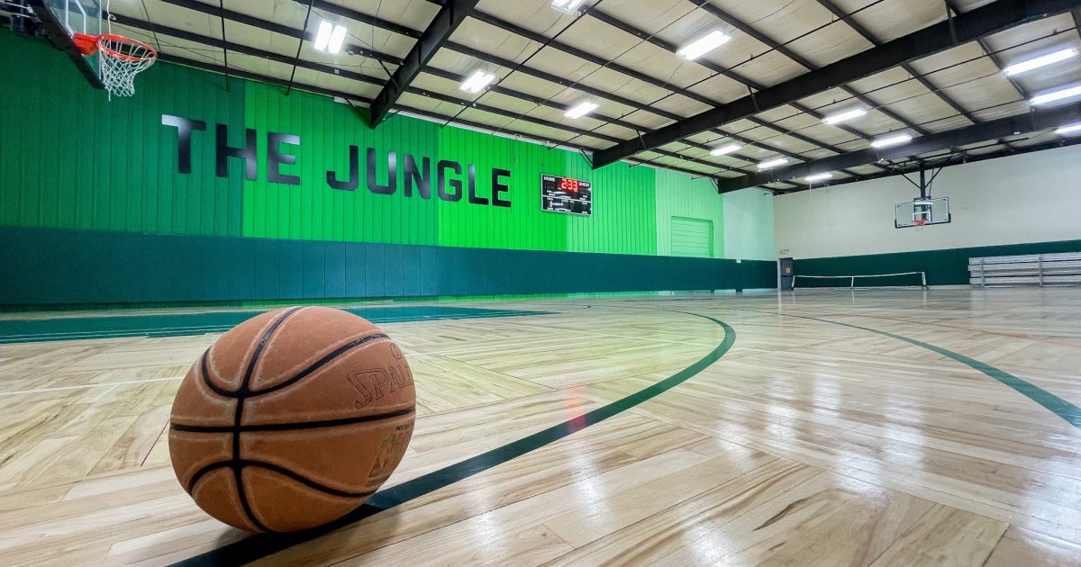 the-jungle-visit-indy