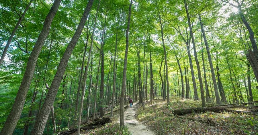 Brown County, Indiana | Visit Indy